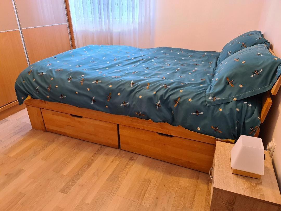 Central Cosy Apart Oradea Exterior foto