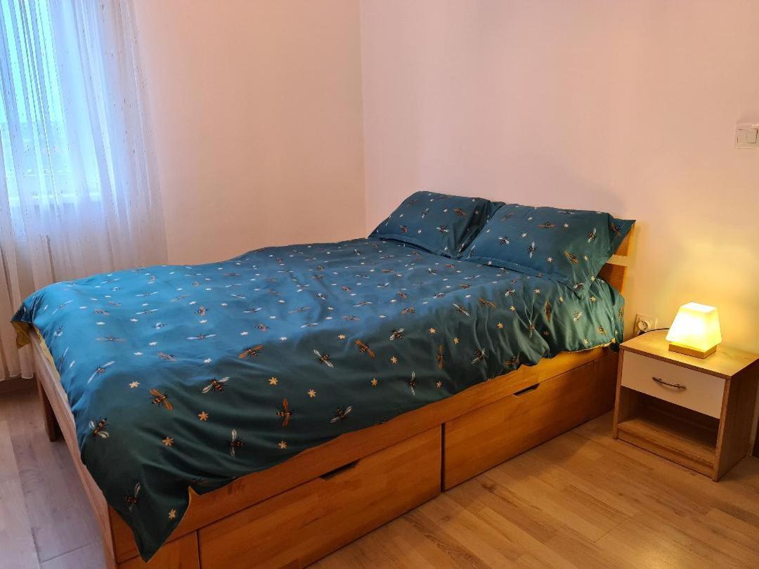 Central Cosy Apart Oradea Exterior foto