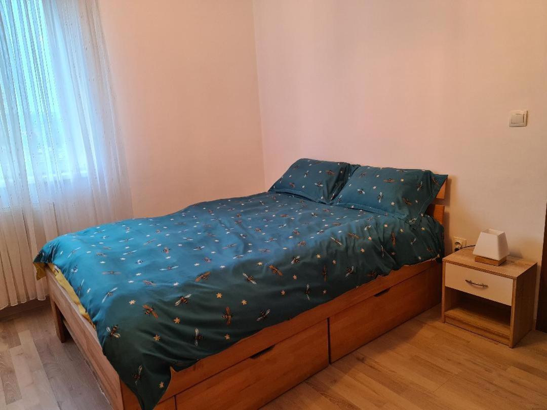 Central Cosy Apart Oradea Exterior foto